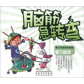 Stock image for The Riddles: Intellect fast line(Chinese Edition) for sale by ThriftBooks-Dallas