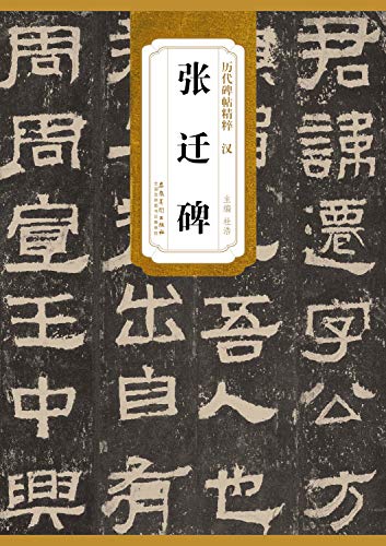 9787539848907: Fell through the ages is pithy. han. zhang tablet(Chinese Edition)