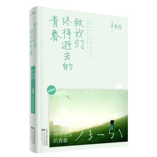 9787539943824: To Our Youth Which Will Be Lost Eventually (collector's edition) (Chinese Edition)