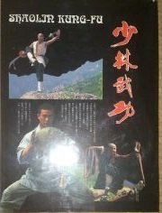 9787540102463: Shaolin Kung-fu