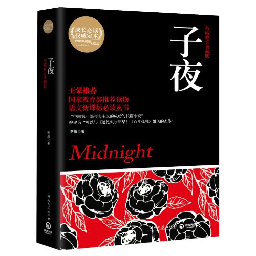 9787540449285: development authority Reading: Midnight(Chinese Edition)