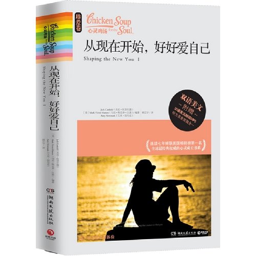 Stock image for Chicken Soup for the Soul: From now on. to love yourself(Chinese Edition) for sale by liu xing