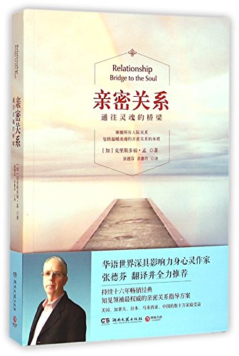 Imagen de archivo de Relationship Bridge to the Soul (Chinese Edition) a la venta por SecondSale