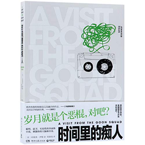 9787540489069: A Visit from the Goon Squad (Chinese Edition)