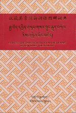 Imagen de archivo de Tibetan English of Illustrated Dictionary of New Words(Chinese Edition) a la venta por ReadCNBook
