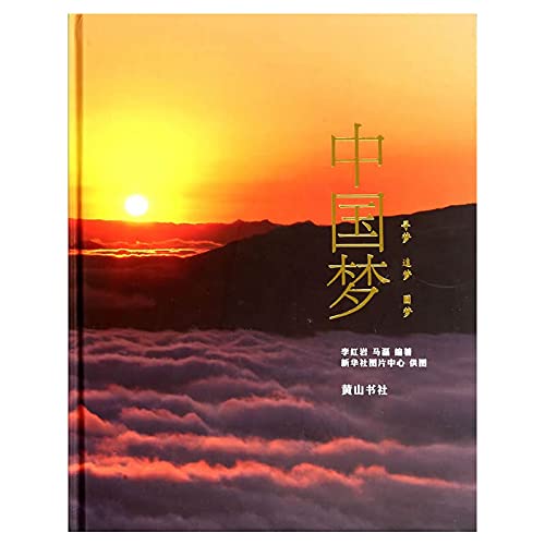 Stock image for China Dream (Chinese Edition) for sale by medimops