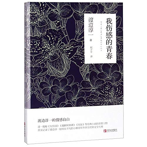 9787555267409: My Sad Youth (Chinese Edition)