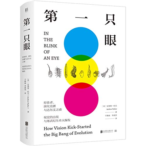 9787559637895: In the Blink of an Eye: How Vision Kick-Started the Big Bang of Evolution (Chinese Edition)