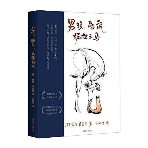 Stock image for The Boy, the Mole, the Fox and the Horse (Chinese Edition) for sale by SecondSale