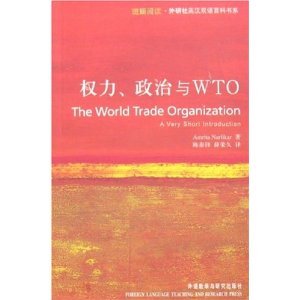Stock image for power Politics and WTO for sale by HPB-Movies