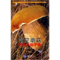 Imagen de archivo de A Photographic Guide to Mushrooms of China(Chinese Edition) a la venta por liu xing