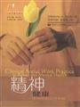 Stock image for Mental Health: Clinical Social Work Practice(Chinese Edition) for sale by liu xing