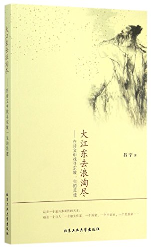 9787563944958: 大江东去浪淘尽--在诗文中找寻东坡一生的足迹