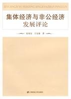 9787564201296: collective economic and non-public economic development comments(Chinese Edition)