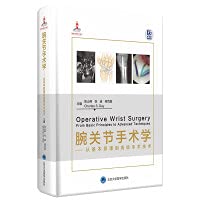 Beispielbild fr Wrist surgery-from basic principles to advanced surgical techniques(Chinese Edition) zum Verkauf von Big River Books