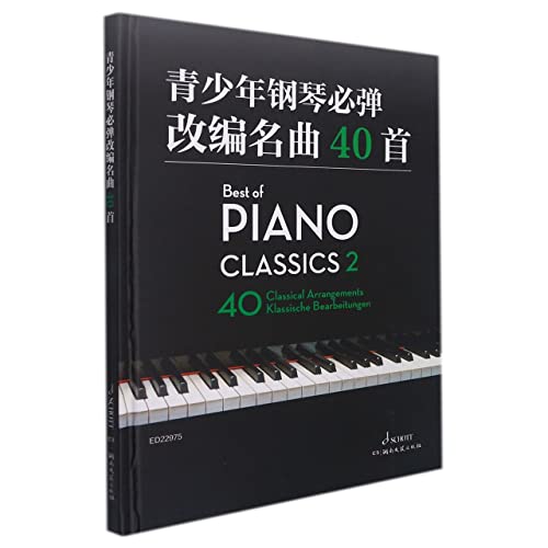 Imagen de archivo de 40 Arranged Famous Songs That Teenagers Must Play(Chinese Edition) a la venta por liu xing