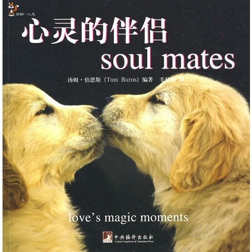 Beispielbild fr soul mate(Chinese Edition) zum Verkauf von liu xing