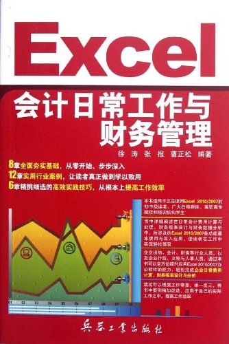 9787802487499: Excel会计日常工作与财务管理