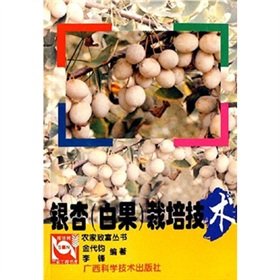 Stock image for Ginkgo (Ginkgo) cultivation techniques(Chinese Edition) for sale by liu xing