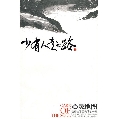 Stock image for Care of the Soul: How to Add Depth and Meaning to Your Everyday Life (Chinese Edition) for sale by Lexington Books Inc