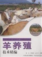 9787807393306: Sheep breeding technology for fine(Chinese Edition)