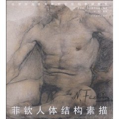 9787807464778: Human Body Stracture Sketchings of Fechin (Chinese Edition)