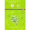 Beispielbild fr Medicinal plants and animals breeding and processing technology amomum(Chinese Edition) zum Verkauf von liu xing