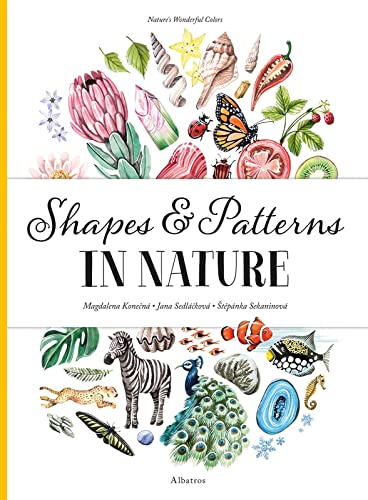 Imagen de archivo de Shapes and Patterns in Nature (Nature's Wonderful Colors, 3) a la venta por Ergodebooks