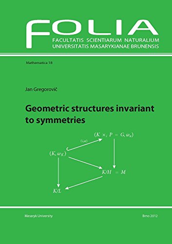 Stock image for Geometric Structures Invariant to Symmetries for sale by BookstoYou