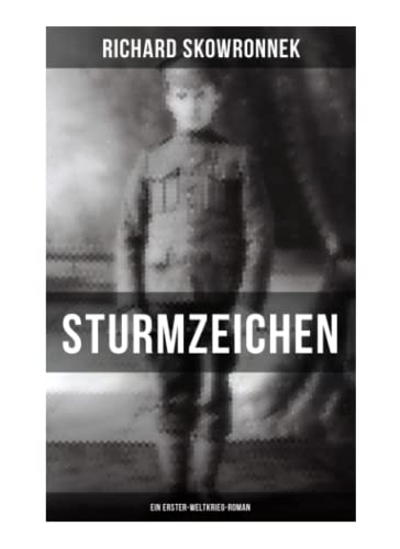 Stock image for Sturmzeichen (Ein Erster-Weltkrieg-Roman) for sale by Revaluation Books