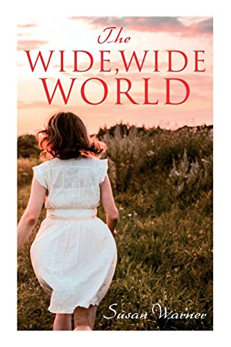 Stock image for The Wide, Wide World for sale by Lucky's Textbooks