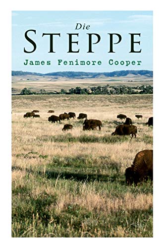 9788027313624: Die Steppe (German Edition)