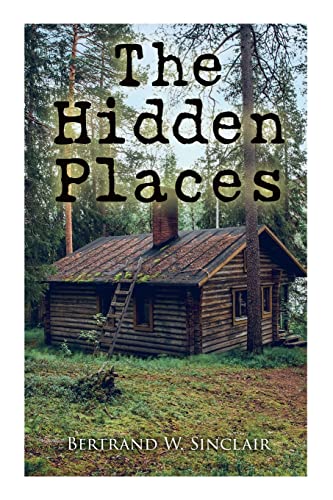Stock image for The Hidden Places: Post-World War I Novel for sale by Lucky's Textbooks