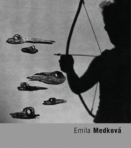 9788072152384: Emilia Medkova (Fototorst)