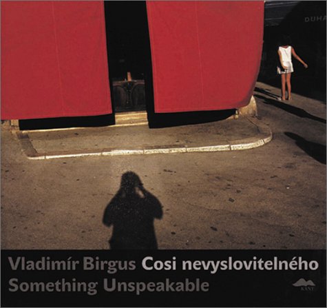 9788086217314: Vladimr Birgus: Something Unspeakable