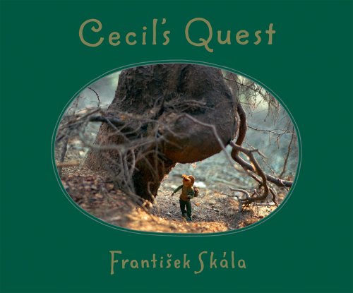 9788086300863: Cecil's Quest