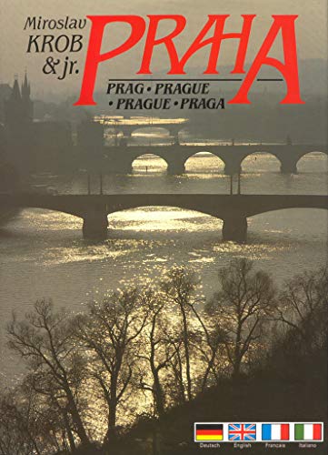 Stock image for Praha Prague Prag for sale by Books@Ruawai