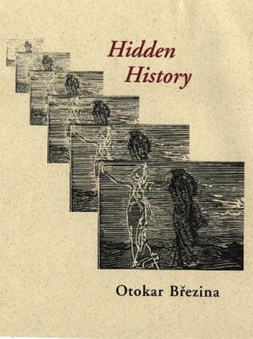 Stock image for Hidden History for sale by HPB-Emerald