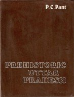 Prehistoric Uttar Pradesh: A Study of Old Stone Age