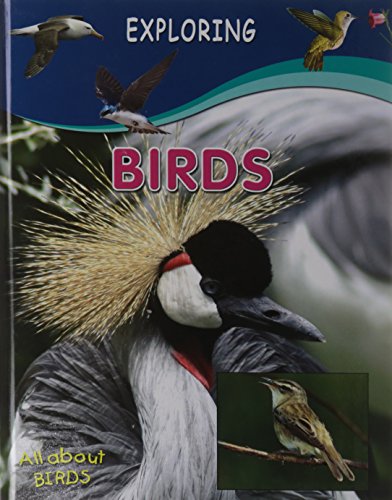 Stock image for Birds for sale by WYEMART LIMITED