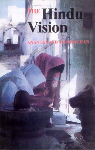 Imagen de archivo de The Hindu Vision a la venta por Books Puddle