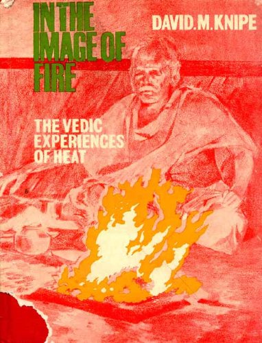 Imagen de archivo de In The Image Of Fire a la venta por Books in my Basket