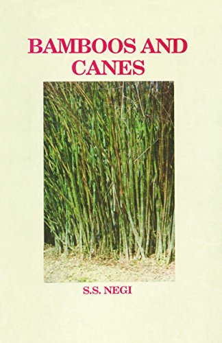 Imagen de archivo de Bamboos and Canes a la venta por Majestic Books