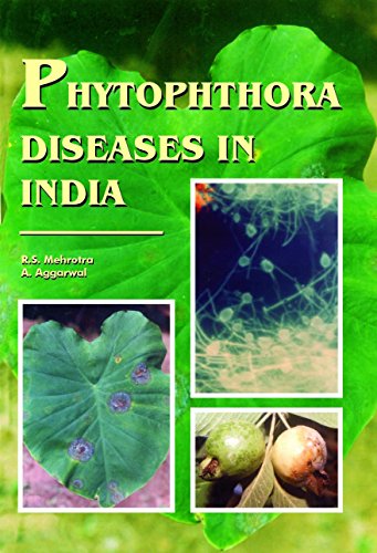 Beispielbild fr Phytophthora Diseases in India zum Verkauf von Vedams eBooks (P) Ltd