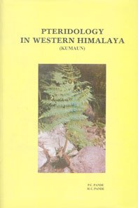 Imagen de archivo de Pteridology in Western Himalaya : Kumaun a la venta por Vedams eBooks (P) Ltd