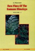 9788121103718: An Illustrated Fern Flora Of Kumaon Himalaya Vol. 1