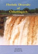 Stock image for Floristic Diversity of Chhattisgarh : Angiosperms for sale by Vedams eBooks (P) Ltd