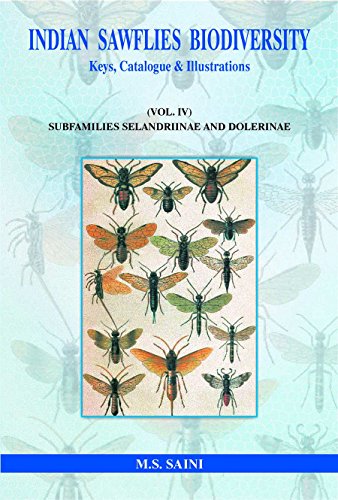Beispielbild fr Indian Sawflies Biodiversity : Keys Catalogue and Illustrations : Vol: IV: Subfamilies Selandriinae zum Verkauf von Vedams eBooks (P) Ltd