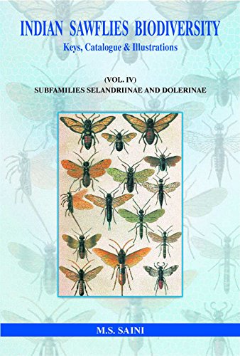 Stock image for Indian Sawflies Biodiversity : Keys Catalogue and Illustrations : Vol: IV: Subfamilies Selandriinae for sale by Vedams eBooks (P) Ltd