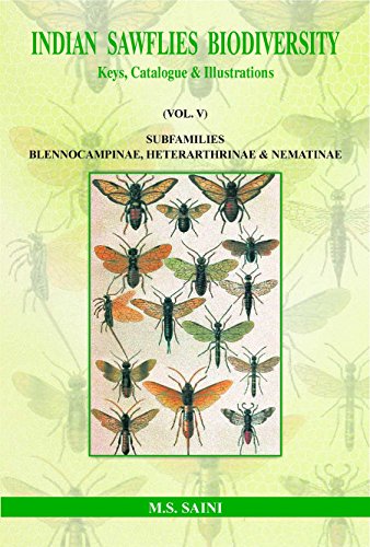 Stock image for Indian Sawflies Biodiversity : Keys Catalogue and Illustrations: Vol: V: Subfamilies Blennocampinae for sale by Vedams eBooks (P) Ltd